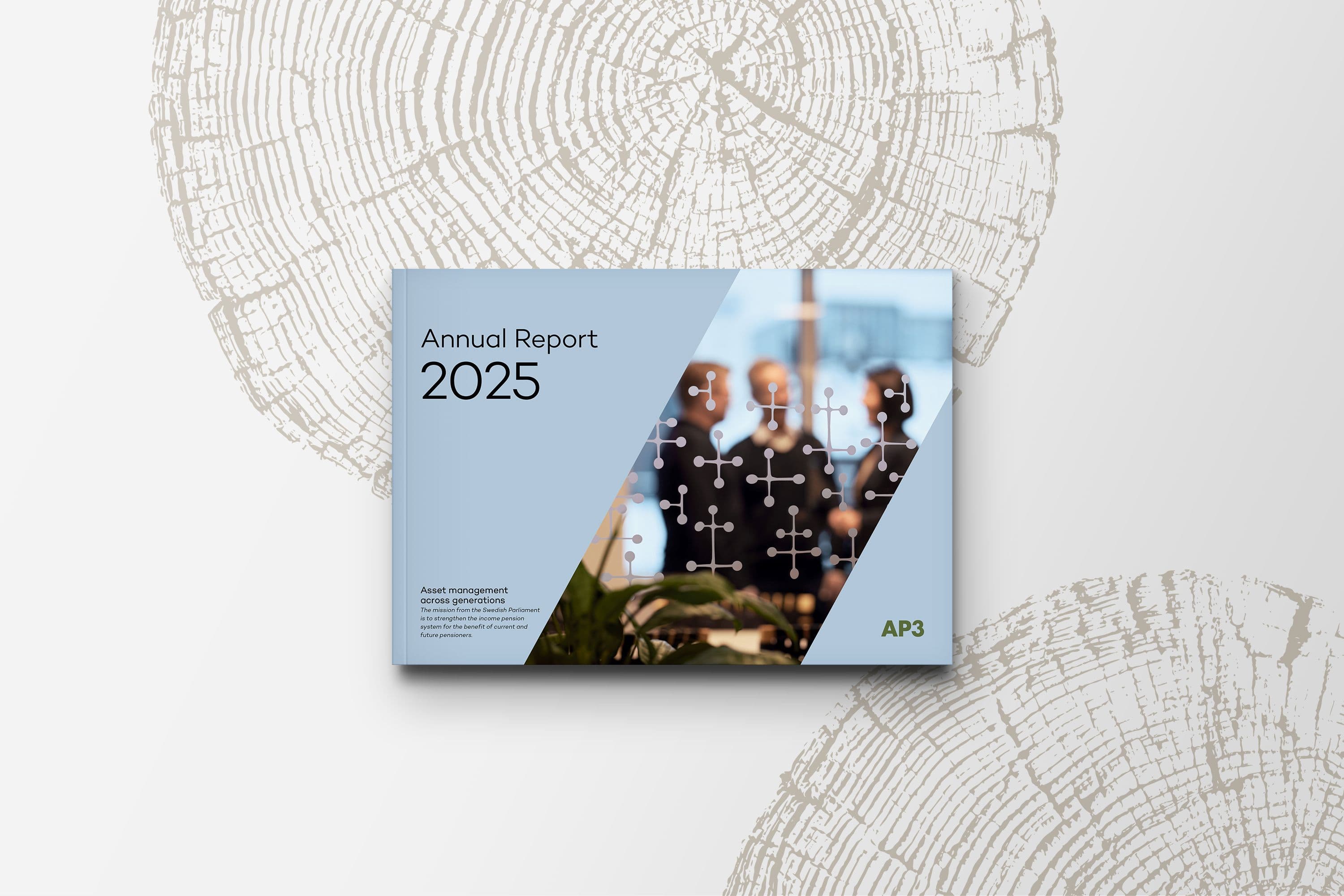 AP3 Annual Report 2025