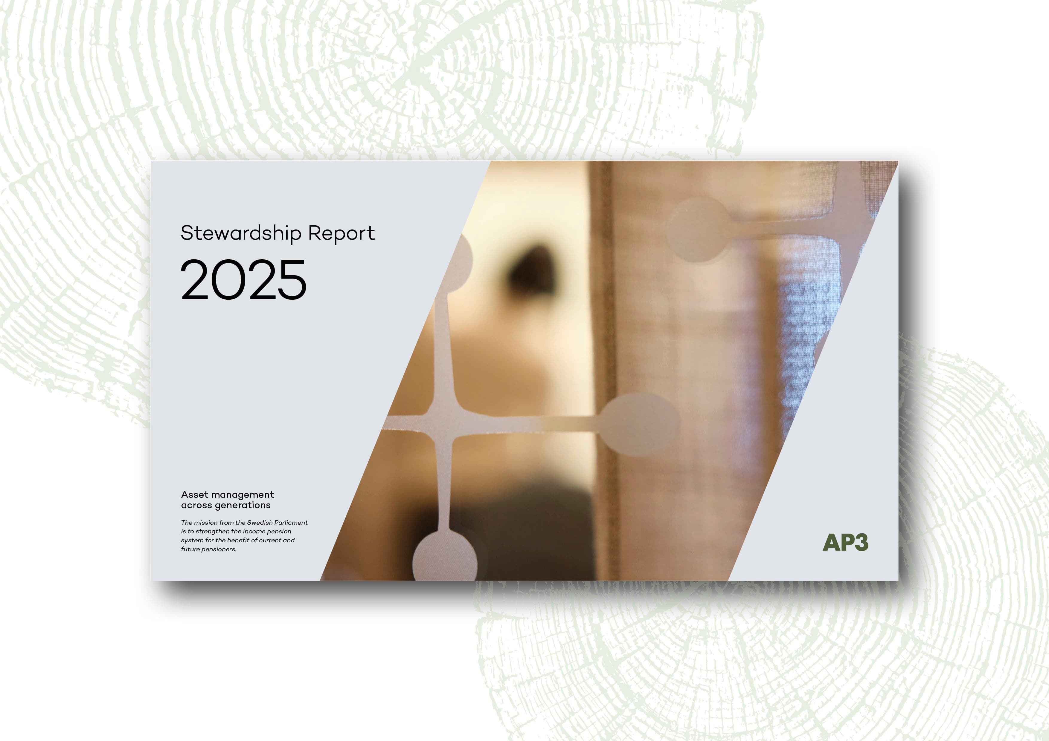 AP3_cover_ENG_Stewardship report