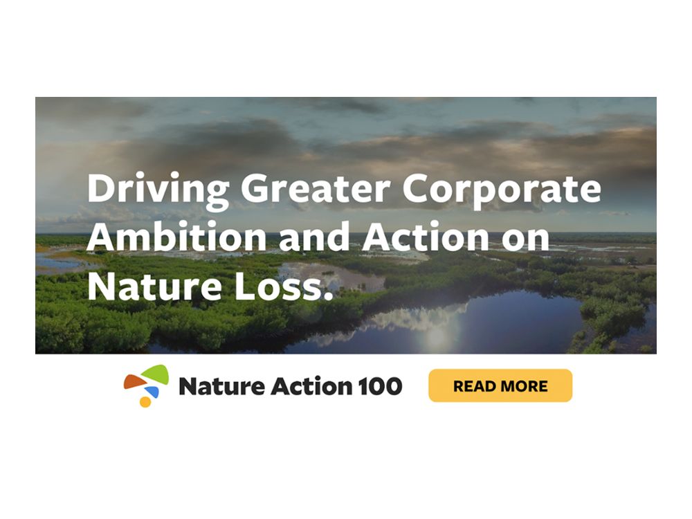 Nature Action 100 logo