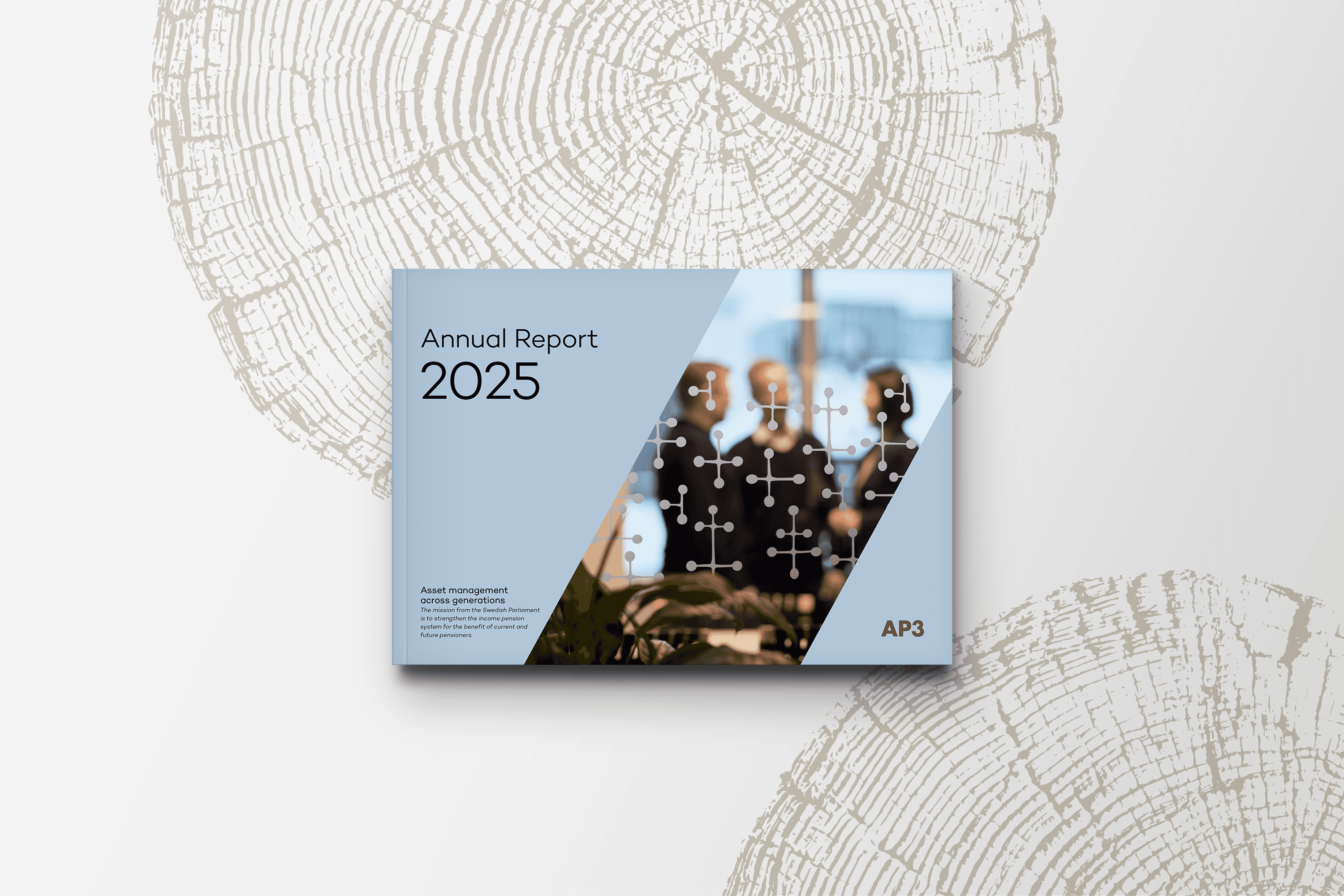 AP3 Annual Report 2025
